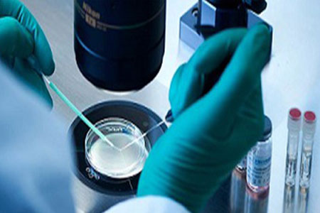 Vitrification